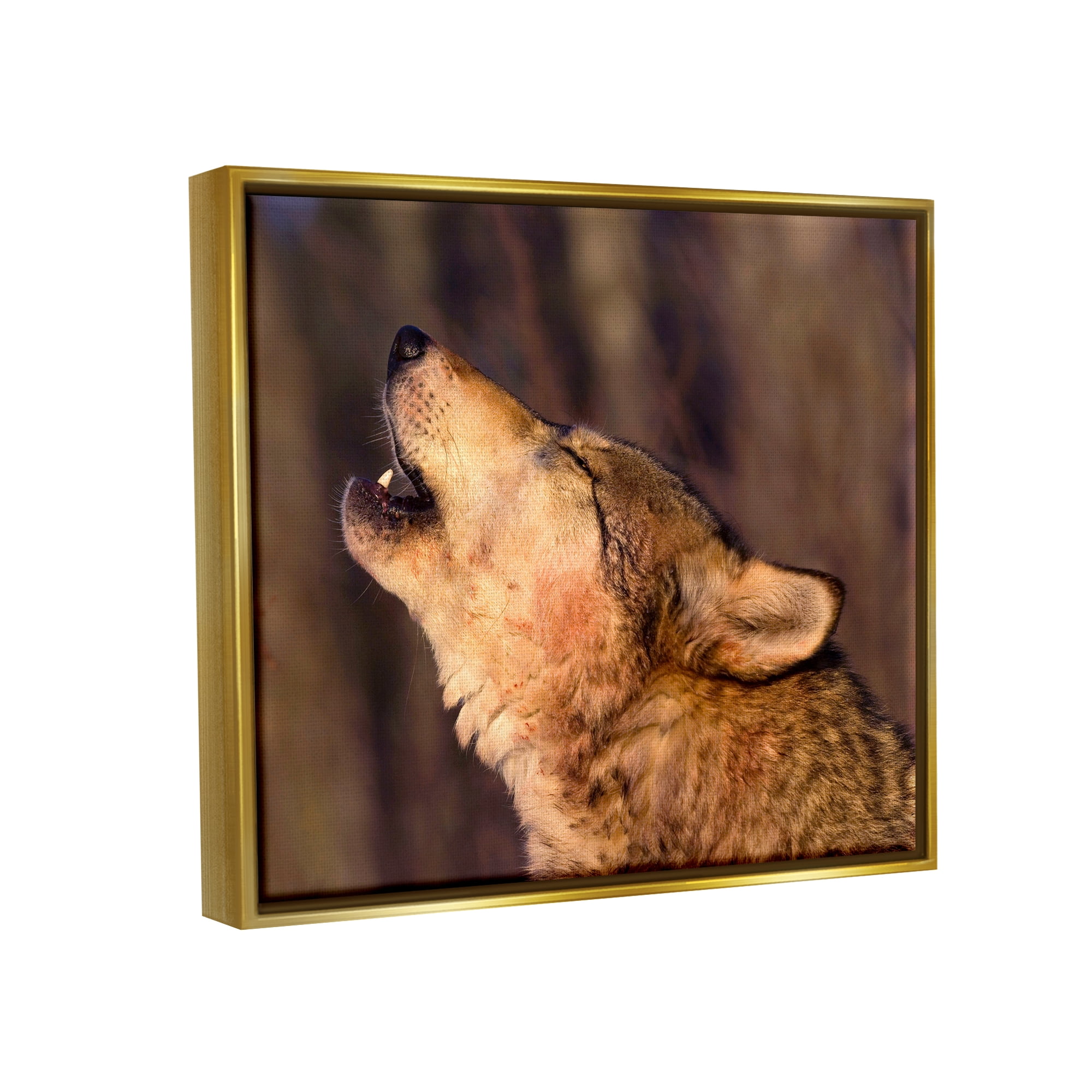 Stupell Industries Howling Wolf Photography Animals & Insects Photography Gold Floater Framed Art Print Wall Art, 21 x 17