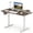 Rustic Brown+White, variant on Costway 48" x 24" Electric Standing Desk with LED Display 2 Memory Height Settings for Home Black