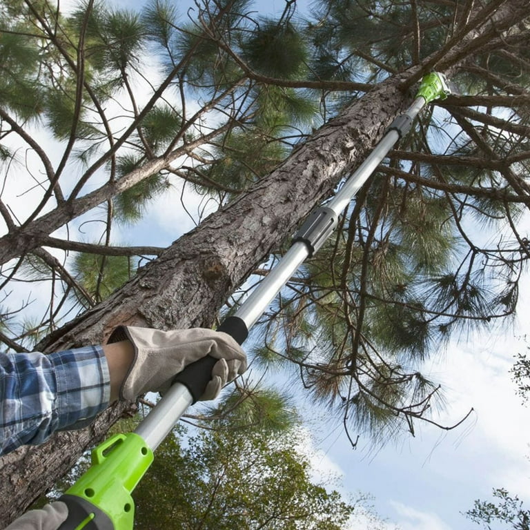 Battery powered 2024 pole saw