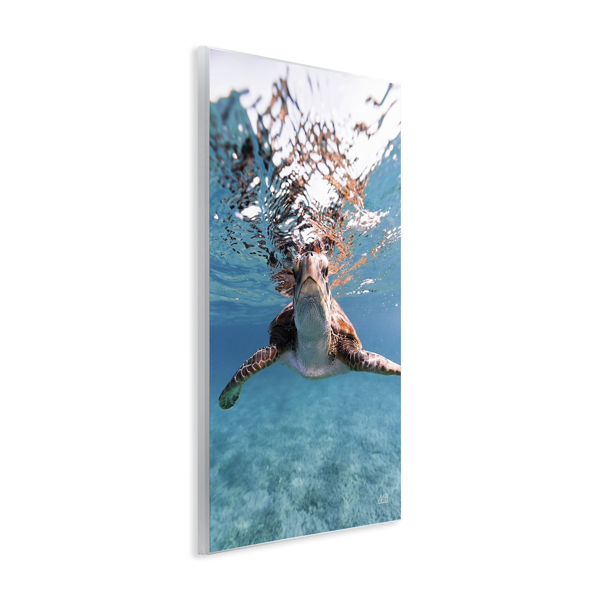 Stupell Industries Hello Sea Turtle Splash Animals Photography Unframed Art Print Wall Art, 13 x 19