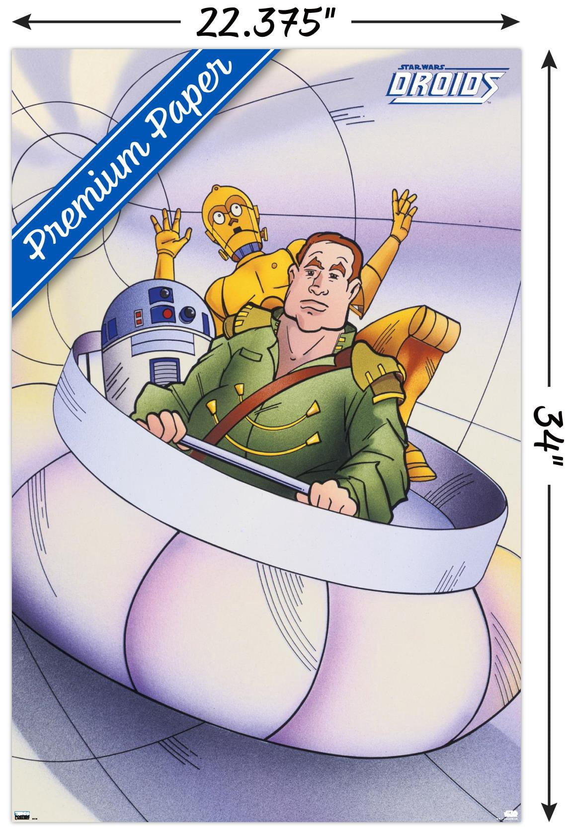 Star Wars: Droids - Tube Wall Poster, 22.375" x 34"