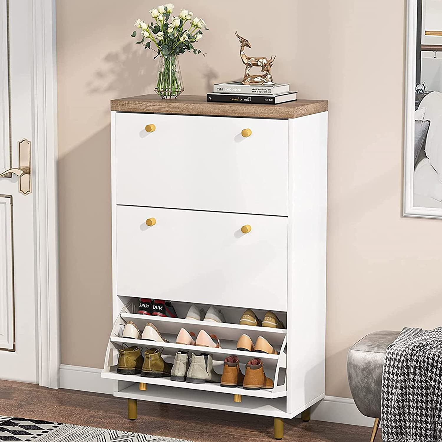 3Drawer Shoe Shoe Rack Organizer with Door, Modern