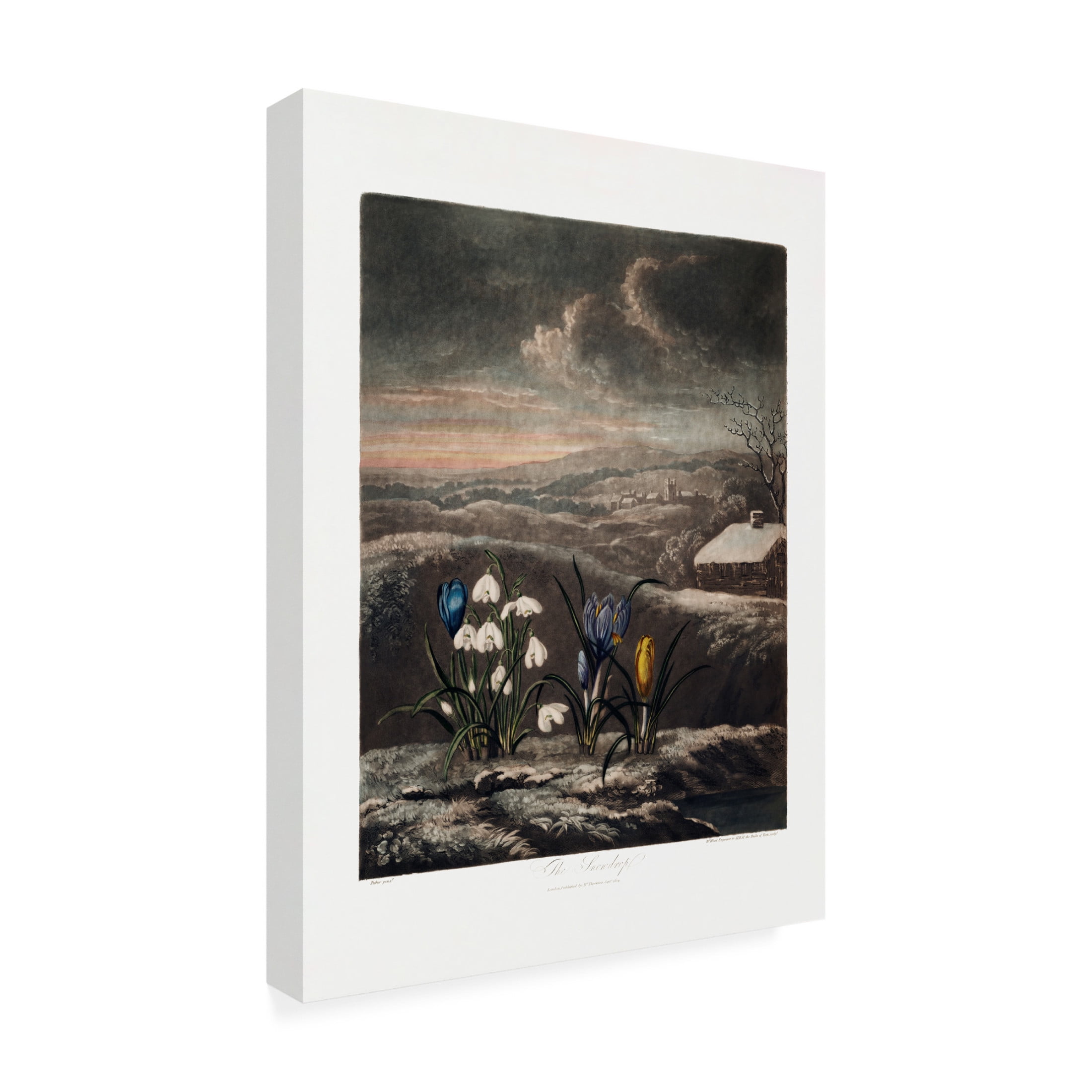 Trademark Fine Art Pictufy  The Snowdrops from The Temple of Flora 1807 Canvas Wall Art