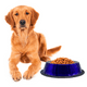 thumbnail image 5 of Plato Para Perro Tazón Grande Azul Importadora La Merced Aluminio Antiderrapante, 5 of 5