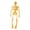 Orange, variant on QLUEWX Beige Halloween Skeleton Table Decor, 5.9" Poseable Simulated Human Body Small Skeleton Display, Tabletop Centerpiece Party Supplies Home Decor, Halloween Decor for Home Indoor Table