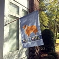 thumbnail image 2 of Carolines Treasures BB5520CHF Collie Welcome Flag Canvas House Size, 2 of 4