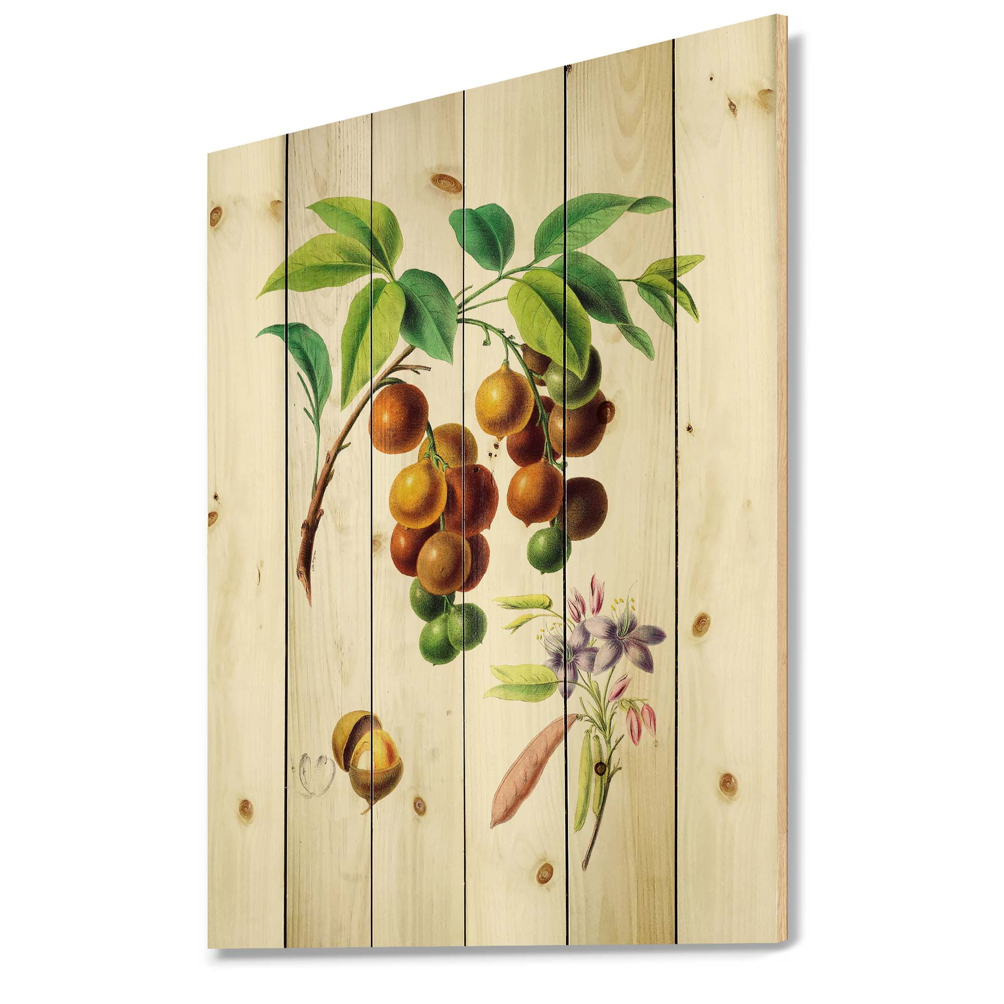 Designart 'Ancient Fruits III' Farmhouse Print on Natural Pine Wood