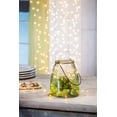 thumbnail image 2 of 6-Foot Long Electric Twinkling, Warm White LED Light Spray with Outdoor Adaptor, 2 of 2