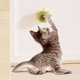 thumbnail image 3 of Bola de Menta Giratoria Xihbxyly para Gatos Palo para Pared, 3 of 4
