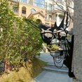 thumbnail image 2 of Burro # B Adornos de jardín de metal para cercas, decoración del hogar y al aire libre, decoración del patio, esculturas, siluetas de hierro fundido, árbol, patio, arte de pared, 2 of 5