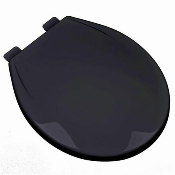 Plumbing Technologies 2F1R6-90 Slow Close Plastic Round Front Contemporary Design Toilet Seat- Black