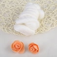 thumbnail image 1 of TOPINCN Needle Felting, Wool Roving, 8Colors 55g Colored Needle Felting Wool Roving Spinning Sewing Trimming Handiwork Material, 1 of 6