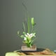 thumbnail image 5 of Soporte para flores, aguja de cobre densa, accesorios prácticos para arreglos florales Kenzan elegante y moderno, 5 of 9