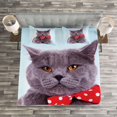 thumbnail image 3 of Ambesonne Cat Quilted Bedspread Set 3 Pcs, Grey Scottish Fold Theme, Queen Size, Pale Blue Purpleblue, 3 of 3