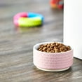 thumbnail image 3 of (2 pack) Vibrant Life Small Ceramic Pet Bowl, Pink, Dog, 3 of 7