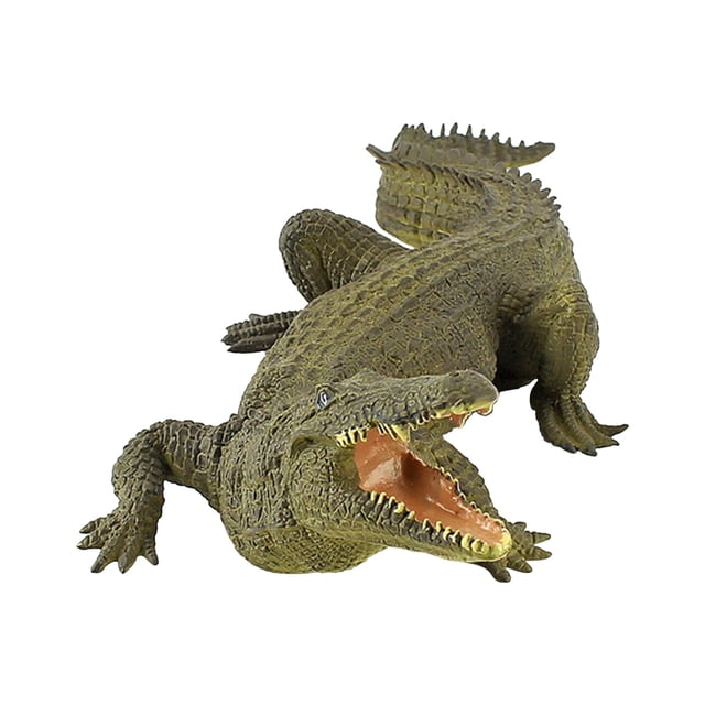 Simulación de cognición de animales salvajes, juguete de regalo de decoración de reptiles de sangre fría Wmkox8yii shdjk2303