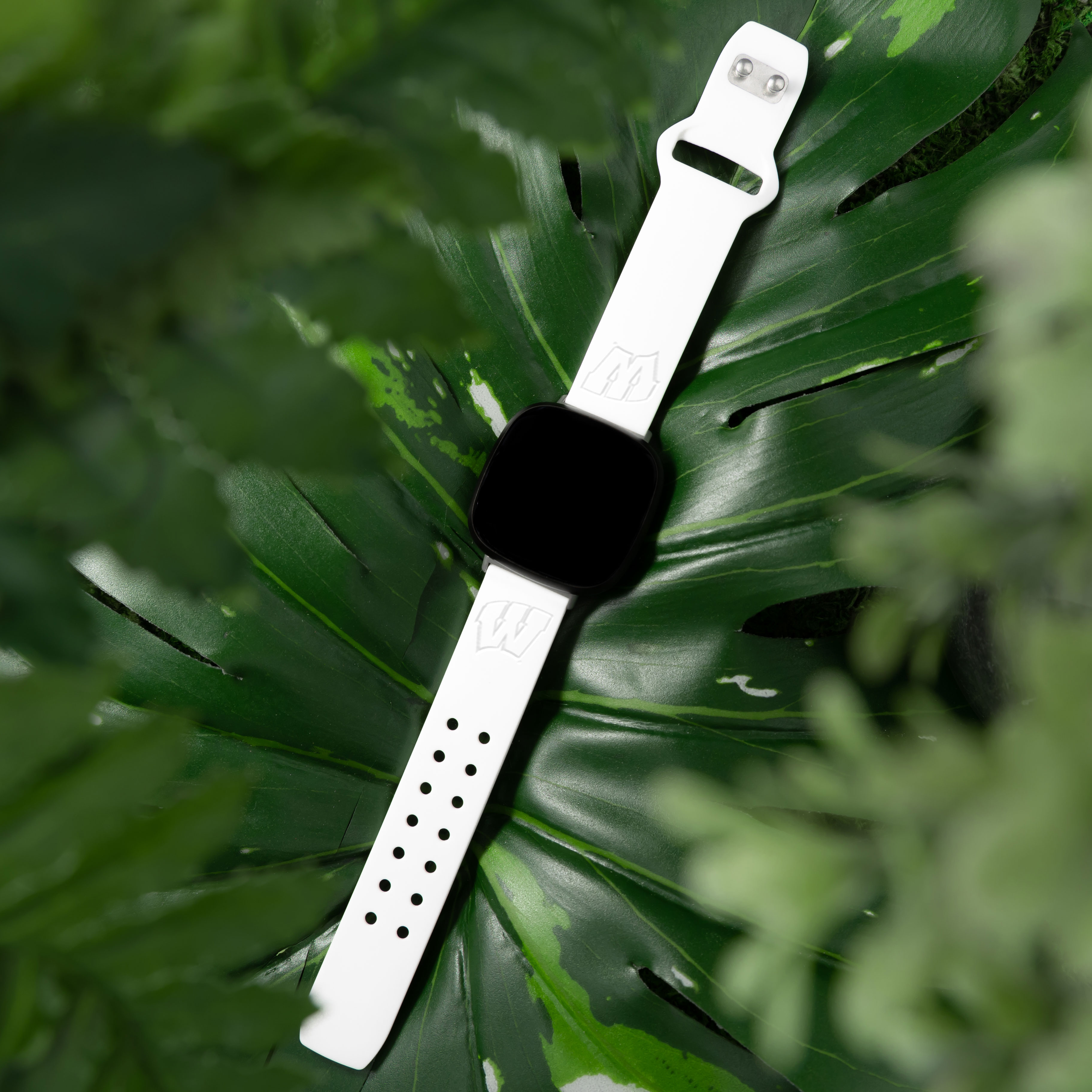Badgers Engraved Silicone Unisex Watch Band for Fitbit Versa 3 and Sense (White) by Affinity Bands