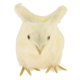 thumbnail image 1 of Mini figura de pollo de peluche, amarilla, juguete educativo para niños, jardín y Los 6x6x9cm, 1 of 4