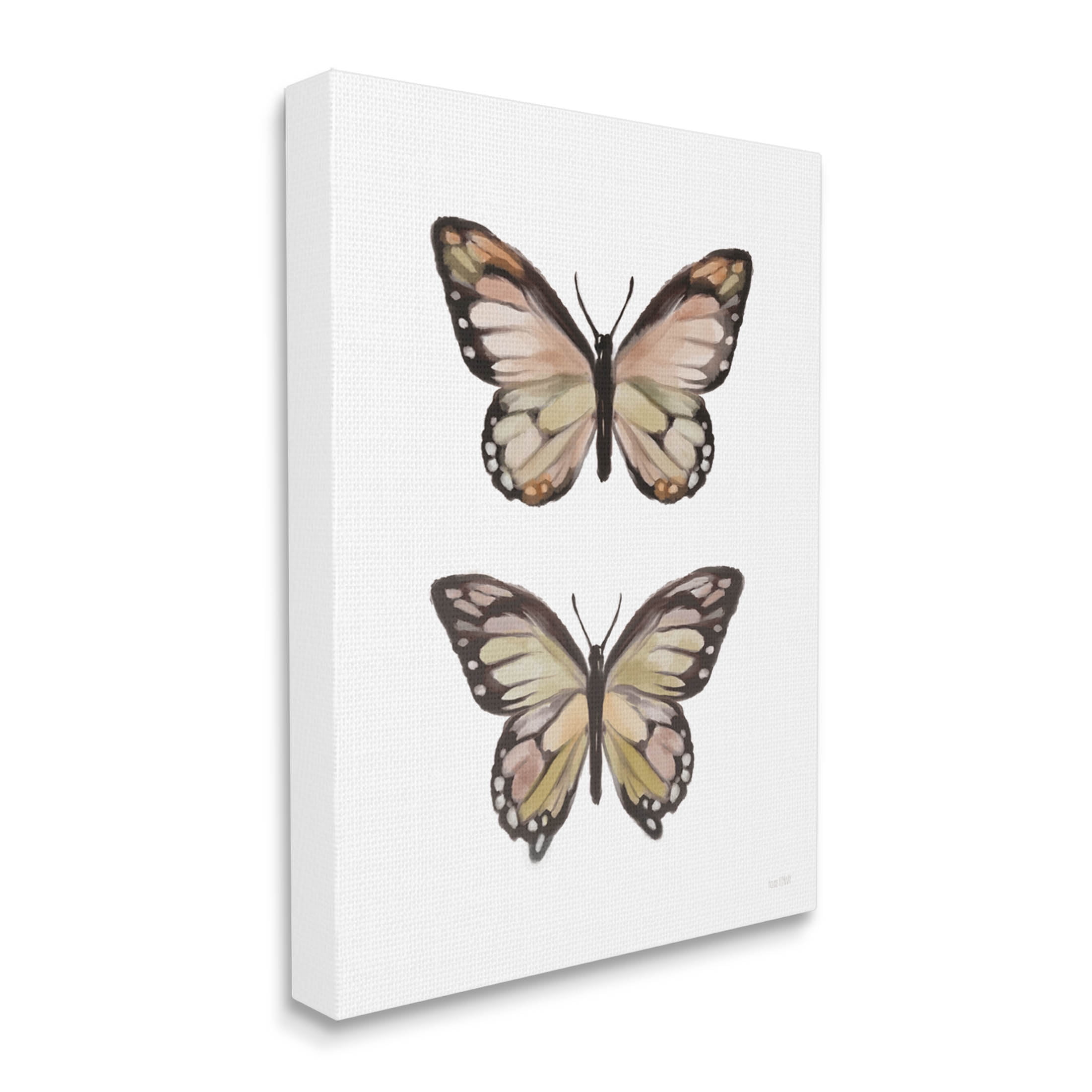 Stupell Industries Butterfly Wings Insect Portrait Graphic Art Gallery Wrapped Canvas Print Wall Art, Design by House Fenway