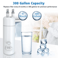 thumbnail image 2 of EDR1RXD1 Water Filter 1 Compatible with W10295370A W10295370 EDR1RXD1B46-9081 46/9930 P5WB2L EDRD101G1W, 1-Pack, 2 of 6