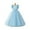 Sky Blue, variant on Flower Little Big Girls Maxi Dress Bridesmaid Wedding Pageant Party Princess Communion Floral Vintage Lace Dance Gown