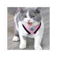 thumbnail image 2 of 1PC Cat Harness Vest Walking Lead Leash For Puppy Dogs Collar Polyester Adjustable Mesh Dog Harness For Small Medium Pet collar & leash set, 2 of 5