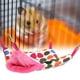 LAFGUR Hamster Double Couche Maison Suspendue au Hamster, Cochon d'Inde Hamster – image 2 sur 8