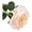Light Pink, variant on bestolf Real Touch Artificial Rose Flower 24.8" Long Stem Fake Rose Flower Realistic Big Bloom Rose Bouquet for Wedding Party Floral Arrangement Home Kitchen Vase Decor