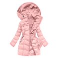 thumbnail image 1 of Veste d'Hiver à Manches Longues pour Femmes avec Fermeture Éclair Composite Manteau d'Extérieur Solide pour Automne et Temps Froid, 1 of 9
