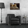 thumbnail image 4 of Epic Art 'Lioness' by Harro Maass, Acrylic Glass Wall Art, 24"x16", 4 of 8