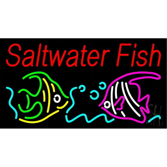 Saltwater Fish LED Neon Sign 13" Tall x 24" Wide - inches Black Square Cut Acrylic Backing, with Dimmer - Premium built indoor Sign for Club, Home décor, Event, Workshop, Storefront.