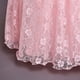thumbnail image 4 of Vestido Para Niñas, Ropa Para Niñas, Vestido Para Niños, Vestido De Princesa De Manga Corta, Vestido De Cola De Flores, Falda, Vestido De Tutú Rosa Odeerbi LM103-1961, 4 of 9
