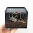 thumbnail image 5 of TUEUIO1，Reptile Feeding Box Portable Insect Habitat Acrylic Case For Hermit Crabs - Snngv, 5 of 5