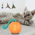 thumbnail image 2 of Juguetes para perros Zulema Bola giratoria calabaza Rotación automática plumas reemplazables, 2 of 8