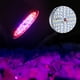 thumbnail image 3 of Lámpara de cultivo interior, lámpara de cultivo de espectro completo de 60W 60LED de grado profesional Jadeshay A, 3 of 8