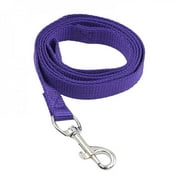Baywell 4FT Nylon Dog Leash for Training, Walking Lead for Medium & Small Dogs, Purple