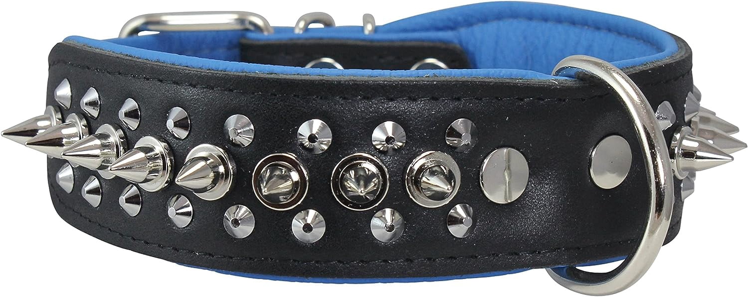 Dogs My love Spiked Studded Genuine Leather Dog Collar 1.75" Wide (14"-17" Neck; 1.75" Wide, Black/Blue)