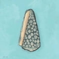 thumbnail image 3 of Marrott, Stephanie 20x20 Black Modern Framed Museum Art Print Titled - Lone Shell, 3 of 5