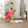 thumbnail image 2 of Bone Dry Microfiber Bath Robe with Adjustable Closure for Pets, Large, Raspberry, 2 of 5