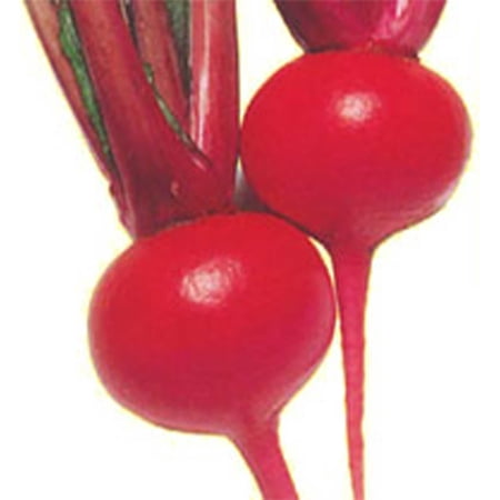 Turnip Seeds - Red Round - 2 g Packet ~750 Seeds - Non-GMO Heirloom - Asian Garden Vegetable & Microgreens
