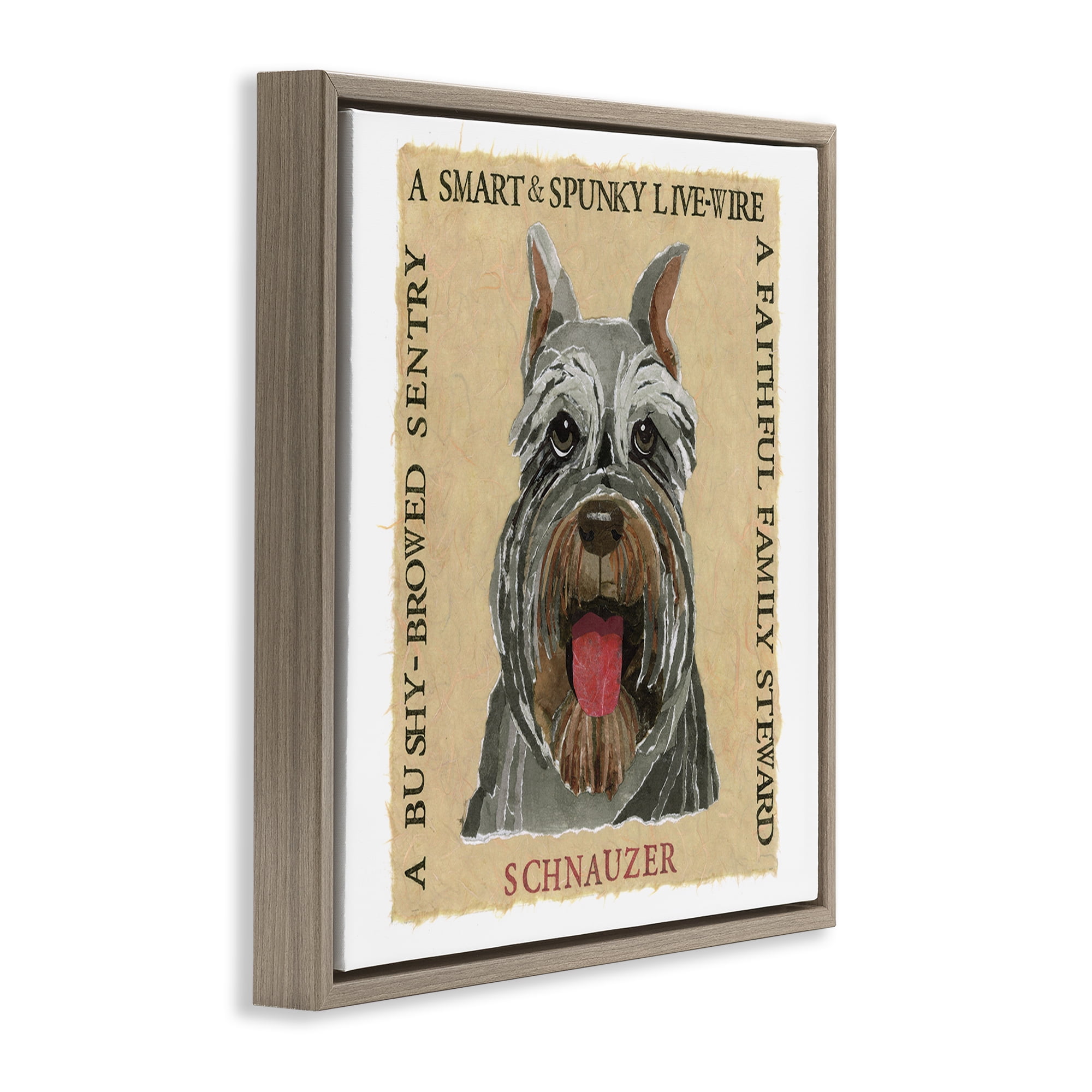 Stupell Industries Fun Schnauzer Pet Phrases Animals Painting Brown Floater Framed Canvas Art Print Wall Art, 25 x 25