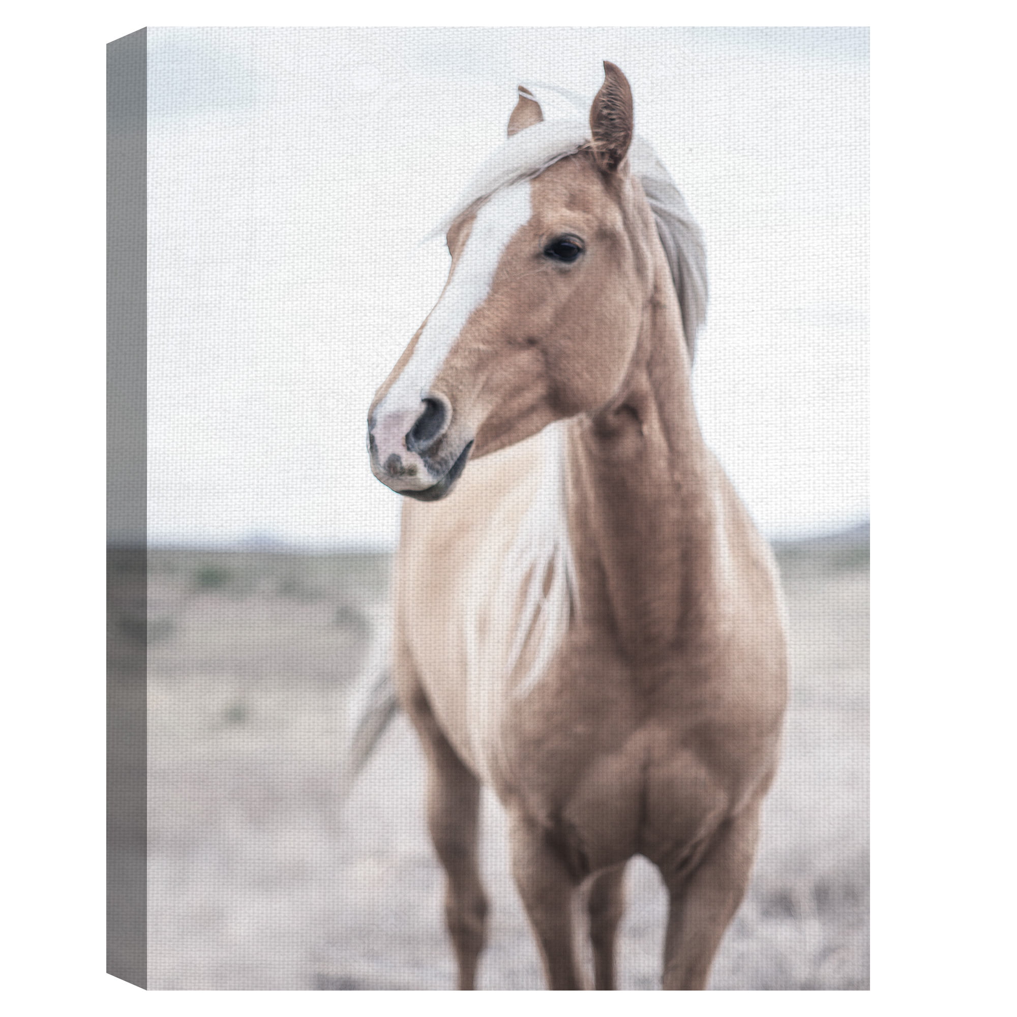 Masterpiece Art Gallery Western Blonde Horse By Chris Dunker Canvas Art Print 18" x 24"