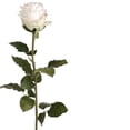 thumbnail image 2 of Hill Interiors Artificial Traditional Rose, 2 of 4