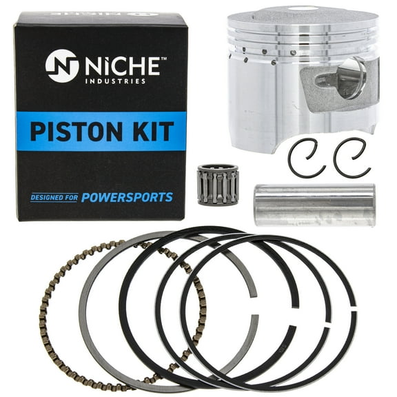 Niche Stock Piston 47mm for Yamaha Grizzly Raptor Badger 80 55X-11631-00-96 519-KPS2228T