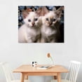 thumbnail image 2 of Nawypu CUTE SIAMESE CATS GLOSSY POSTER PICTURE PHOTO White Kittens Pet Wall Art Canvas Prints Poster For Home Office Decorations With Framed, 2 of 4