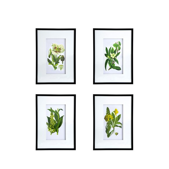 A & B Home Set of 4 White and Green Botanical Rectangular Flower Wall Art Decor 27.5" x 19.5"