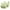 Green, variant on Jacenvly New Bralettes for Women 2Pc Embroidered Glossy Comfortable Breathable Bra Underwear No Rims Two Piece Set Easy Care Sports Bras for Women High Support