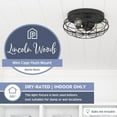 thumbnail image 3 of Prominence Home Lincoln Woods 15" Flush Ceiling Mount Light with Cage, Black, 3 of 8