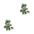 thumbnail image 2 of Plantas de terrario Tropical de Plástico Toystoory frescura y elegancia para el Hogar, 2 of 6