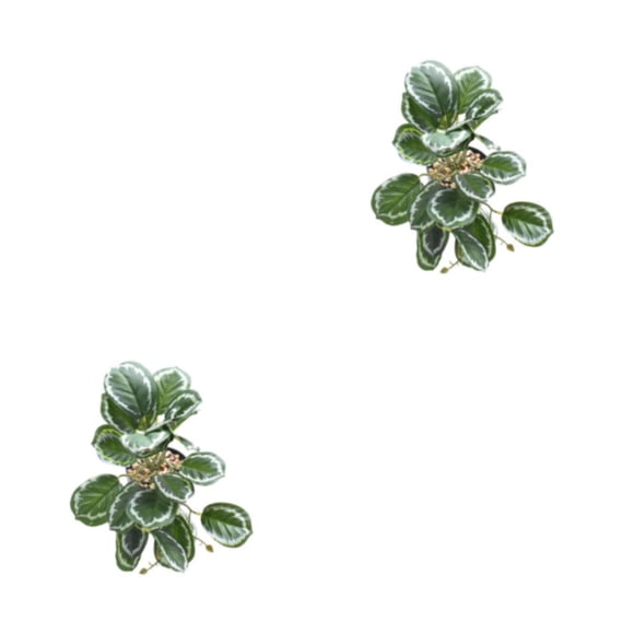 Plantas de Terrario Tropical de Plástico Bewildely Hoja de Pavo Real 2Conjunto